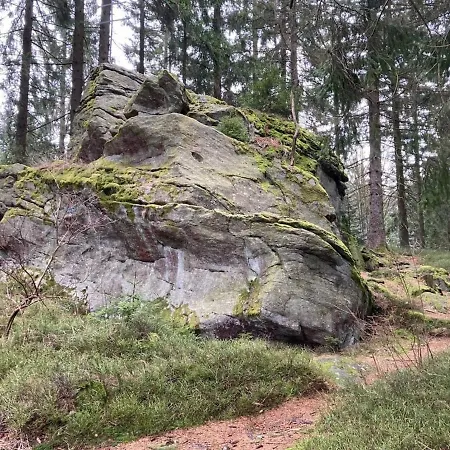 Fewo Turmfalke Apartamento Sankt Englmar